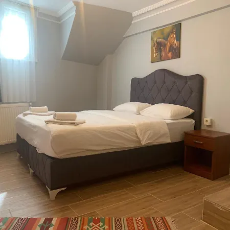 Pine Stone Sultanahmet Apartmán Istanbulská provincie