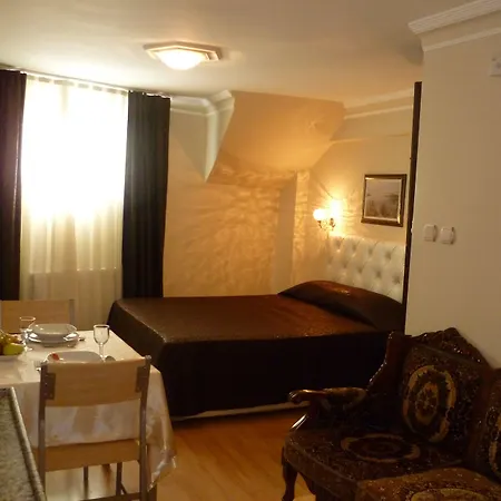 Pine Stone Sultanahmet 公寓 *