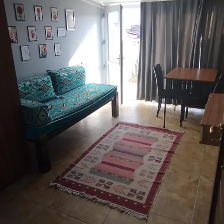Pine Stone Sultanahmet 伊斯坦布尔