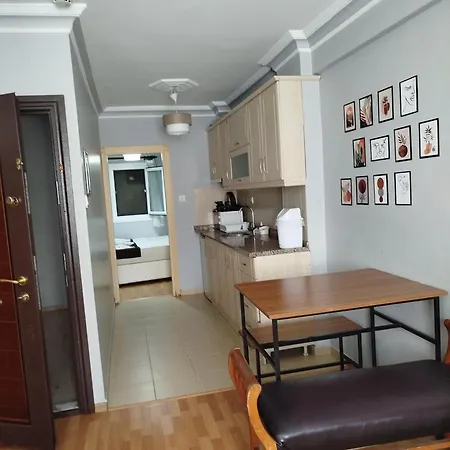 公寓 Pine Stone Sultanahmet 伊斯坦布尔