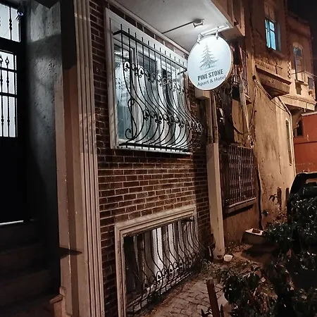 公寓 Pine Stone Sultanahmet 伊斯坦布尔