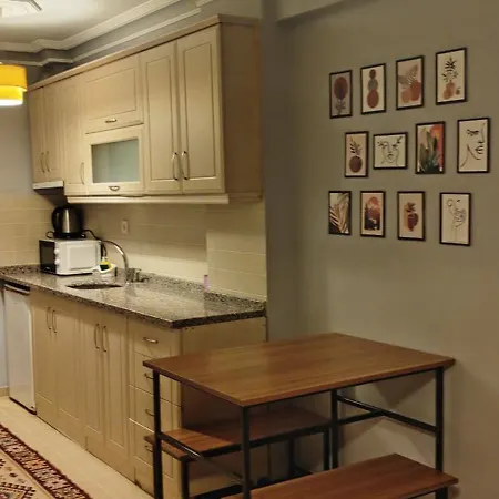 Pine Stone Sultanahmet *